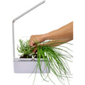 Indoor Herb & Houseplant LED Hydroponic Grow Kit