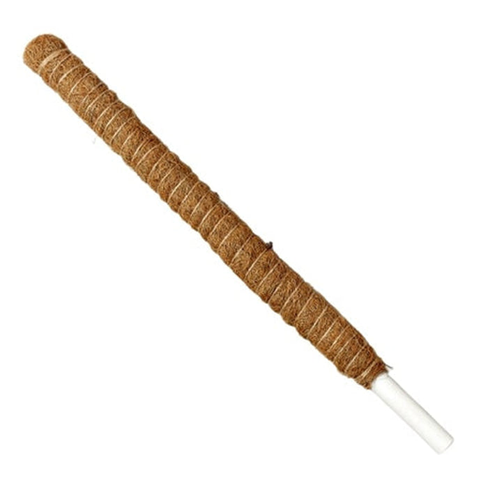 Moss Pole 22"