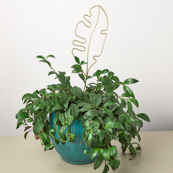 Leaf Plant Trellis