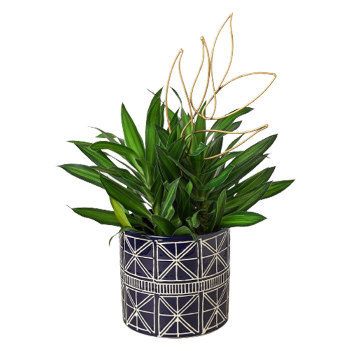 Paradise Plant Trellis
