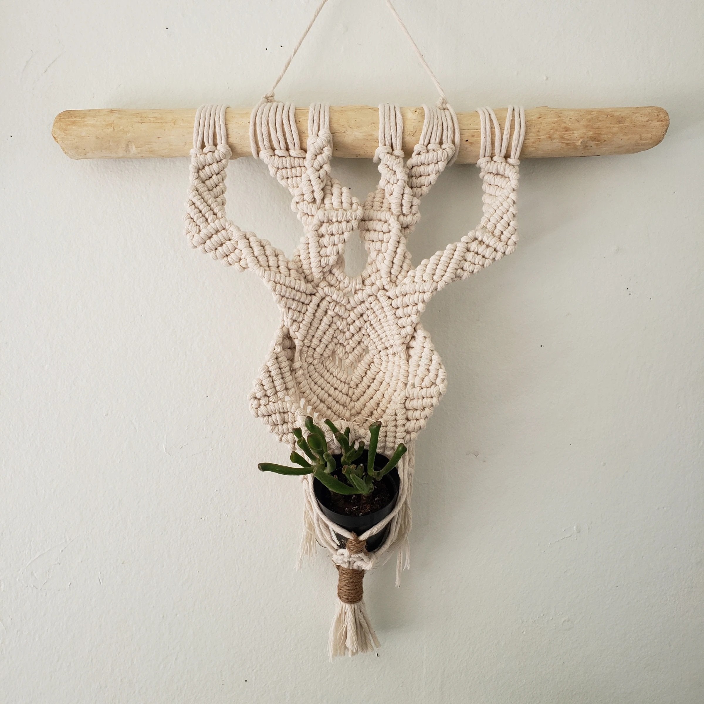 Cherish Macrame Plant Hanger