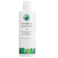 Monstera Plant Food