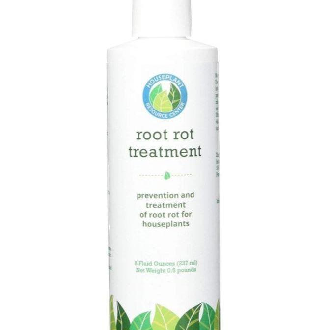 Root Rot Treatment